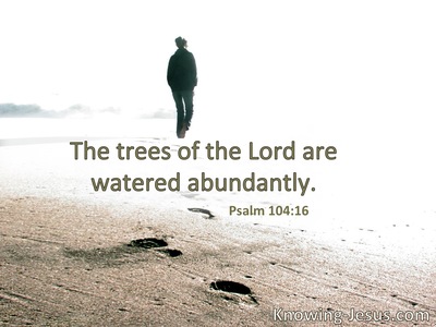 The trees of the Lord are full of sap.